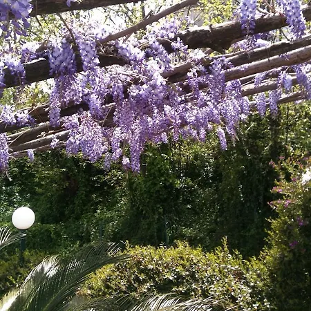 乡村民宿 Casa Fasano Amalfi Coast *